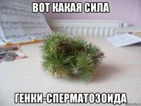 вот какая сила генки-сперматозоида