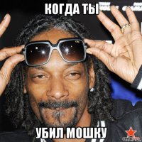 когда ты убил мошку