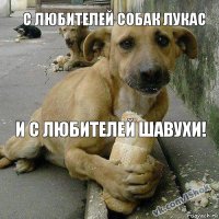и с любителей шавухи! С любителей собак лукас