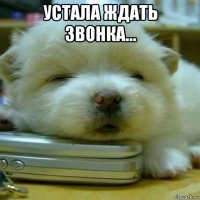 устала ждать звонка... 