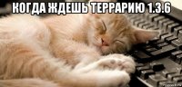 когда ждешь террарию 1.3.6 
