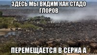 здесь мы видим как стадо глоров перемещается в сериа а