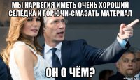 мы нарвегия иметь очень хороший селёдка и горючи-смазать материал он о чём?