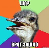 шо? врот зашло