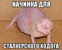 начинка для сталкерского ходога