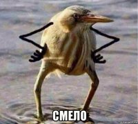  смело