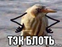  тэк блоть
