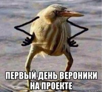  первый день вероники на проекте
