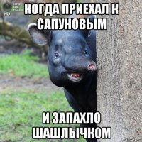 когда приехал к сапуновым и запахло шашлычком