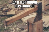 да я тебя пилой перетопорю! 