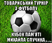 товариський турнір з футболу кубок пам'яті михайла случика