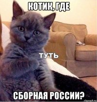 котик, где сборная россии?