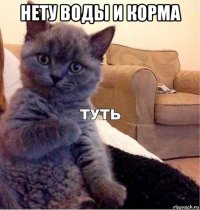 нету воды и корма 