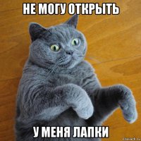 не могу открыть у меня лапки