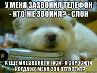 у меня зазвонил телефон - кто же звонил? - слон а еще мне звонили гуси - и спросили - когда же меня сон отпустит?