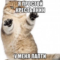 я простой крестьянин у меня лапти