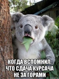  когда вспомнил, что сдача курсача не за горами