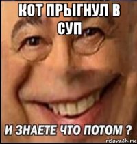 кот прыгнул в суп 