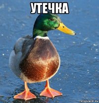 утечка 