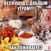 веснушка с добрым утром!!! как поживаете?