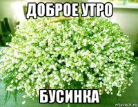 доброе утро бусинка