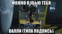 можно я убью тебя валли (типа подпись)