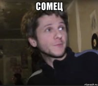 сомец 