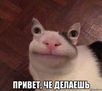  привет, че делаешь
