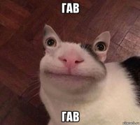 гав гав