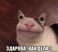  здарова , как дела ?