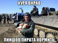 куря вкрав пийшов пирата кормить