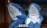  акулы