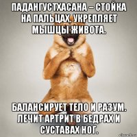 падангустхасана – стойка на пальцах. укрепляет мышцы живота. балансирует тело и разум. лечит артрит в бедрах и суставах ног.