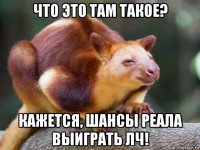 что это там такое? кажется, шансы реала выиграть лч!