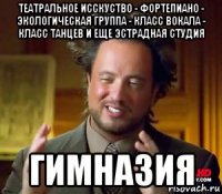театральное исскуство - фортепиано - экологическая группа - класс вокала - класс танцев и еще эстрадная студия гимназия
