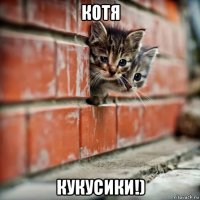 котя кукусики!)