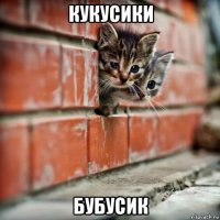 кукусики бубусик