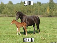 джо женя