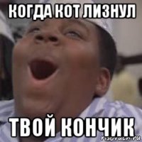 когда кот лизнул твой кончик