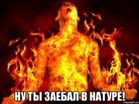  ну ты заебал в натуре!