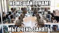 не мешайте нам! мы очень заняты