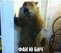  фак ю бич