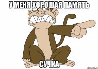 у меня хорошая память сучка