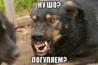 ну шо? погуляем?