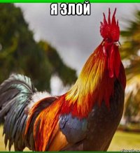 я злой 