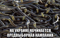  на украине начинается предвыборная кампания