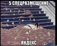 5 спецразмещение яндекс