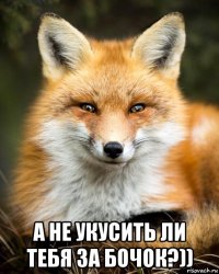  а не укусить ли тебя за бочок?))