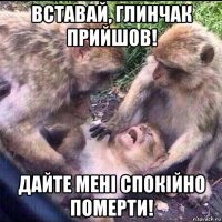 вставай, глинчак прийшов! дайте мені спокійно померти!
