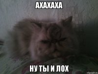 ахахаха ну ты и лох
